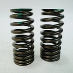 Pack Genuine Ford Valve Springs LC3Z-6513-F. 2020-23 F250, F350, F450, F550 New. Price: $17.98.