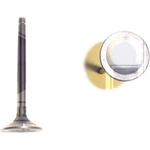 EV729 Dnj Exhaust Valve For Subaru Outback Legacy Tribeca 2008-2014 New. Price: $28.63.