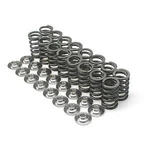Brian Crower Single Valve Spring & Ti Retainer Kit - BC0340 For Scion Tc 2AZFE New. Price: $355.00.