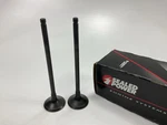 (2) Sealed Power V4561 Engine Exhaust Valves New. Price: $17.95.
