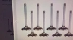 Lada 2101-2107 Intake And Exhaust Valves / Juego Valvulas New. Price: $130.00.