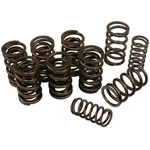 Hi-rev Dual Valve Springs Vw Bug 1600CC Based Engines, Set 8 New. Price: $75.84.