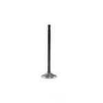 Engine Intake Valve-dohc, Code: Cbta, 20 Valves Dnj IV813 New. Price: $9.99.