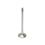 331126 Trw Exhaust Valve For Vw Audi Quattro Q7 A3 A6 A8 Volkswagen Gti A7 Q3 New. Price: $55.20.