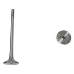 For Volkswagen Jetta 2005-2014 Dnj Engine Components EV814 Exhaust Valve New. Price: $15.58.