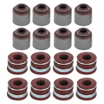 Ford F-150 1986-1994 Apex Auto AVS4113 Valve Stem Seal Set New. Price: $24.99.