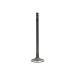 Dnj IV407 Intake Valve Fits 2001-2002 Kia Rio New. Price: $31.99.