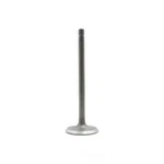 Engine Intake Valve-vin: 3, Dohc, Zetec, 16 Valves Dnj IV431 New. Price: $17.62.