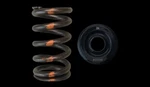 Brian Crower BC0400S Springs + Fe Retainers Ford Duratec Mazda Mzr 2.3L 2.5L New. Price: $195.00.