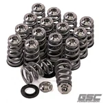 Gsc Power 5076 Conical Spring Set With Titanium Retainer And Chromoly Seat New. Price: $529.06.