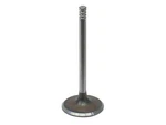 For 1982-1987 Bmw 528E Intake Valve 37889XKDV 1985 1983 1984 1986 New. Price: $20.05.