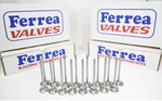 Ferrea 6000 Series +1MM Valves For 08+ Mitsubishi Lancer Evo X Genesis 4B11T New. Price: $340.00.