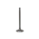 Dnj IV4242 Intake Valve Fits 2013-2018 Nissan Altima 18-20 Rogue New. Price: $33.99.