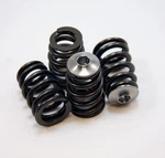 Gsc For K-series Vtec K20/K24 Beehive Valve Spring And Titanium Retainer Kit New. Price: $413.41.