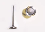 Engine Intake Valve-gas, Dohc, Ecotec, 16 Valves Dnj IV314 New. Price: $29.99.