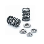 Supertech SPRK-H1000D-BM Dual Valve Spring For Bmw S42 M42 M50 S50 M52 M54 91-06 New. Price: $879.47.