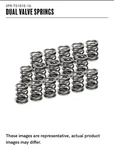 Supertech Valve Springs New. Price: $200.00.