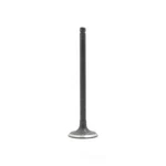 Engine Intake Valve-vin: 6, Dohc, 16 Valves Dnj IV325 New. Price: $16.29.