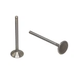 Trw Engine Intake Valve 47145 New. Price: $24.10.