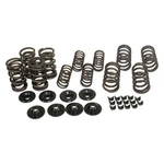 Dual Valve Spring Kit, For Aircooled Vw, Complete Set Dunebuggy & New. Price: $100.99.