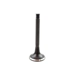 Dnj EV806 Exhaust Valve Fits 1992-1994 Audi 100 92-94 Quattro New. Price: $32.99.