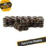 Brian Crower BC1030 Dual Valve Springs New. Price: $274.00.