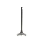 Dnj IV815 Intake Valve Fits 1994-2002 Volkswagen Jetta 95-02 Golf New. Price: $32.99.