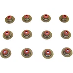 VSS428 Dnj Set Of 12 Valve Stem Seals Explorer Pickup Ford Ranger Mustang New. Price: $36.52.