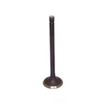 Engine Exhaust Valve-dohc, 16 Valves Dnj EV312 New. Price: $18.76.