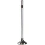 EV4260 Dnj Exhaust Valve F450 Truck F550 F250 F350 Ford F-450 Super Duty New. Price: $27.63.