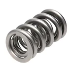 Racing Rpm Series Valve Springs PAC-1209X-16 New. Price: $394.80.