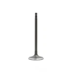 Engine Intake Valve-dohc, Code: Mzr, Turbo, 16 Valves Dnj IV469 New. Price: $12.75.