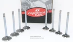 2005-2008 Buick Chevrolet Pontiac Car 5.3L LS4-(8) Stainless Stellite Exh Valves New. Price: $80.00.