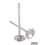 Gsc Power 2192-6 Intake Valves For Toyota G16E-GTS Engines New. Price: $157.94.