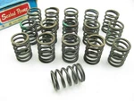 (16) Sealed Power VS446 Outer Engine Valve Springs Pontiac 195 287 326 347 389 New. Price: $107.96.
