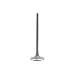 Dnj IV600 Intake Valve Fits 1982-1983 Nissan Sentra New. Price: $29.99.