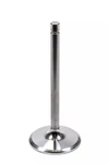 Del West IV-2080-1T-310-CRST-1 2.080 Intake Valve 5/16 X 5.040 Oal New. Price: $200.30.