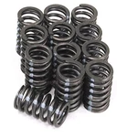 New Set Of 12 Valve Springs Fits Some Amc, Ih & Jeep 199, 232 258 Engines. Price: $56.82.