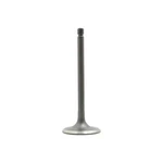 Dnj IV603 Intake Valve Fits 1982-1983 Nissan Stanza New. Price: $30.99.