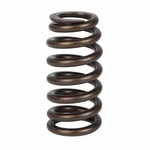 Genuine Ford Engine Valve Spring ER3Z6513B New. Price: $12.20.