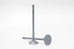 Safety Auto Parts Exhaust Valve-item #VX18-190 New. Price: $24.80.