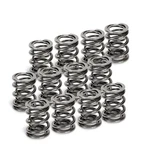 Supertech Vw VR6 Dual Valve Spring Set Of 12 High-performance Replacement New. Price: $190.99.