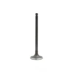 Engine Intake Valve-sohc, 12 Valves Dnj IV450 New. Price: $9.99.