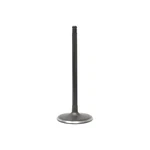 Dnj IV4224 Intake Valve Fits 2011-2022 Ford F-350 Super Duty New. Price: $35.99.