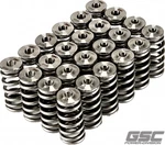 Gsc P-d For Toyota Supra/bmw Z4 B58 Beehive Valve Spring And Ti Retainer Kit New. Price: $595.00.