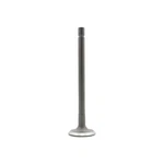 Dnj IV903S Intake Valve Fits 1987-1994 Toyota Tercel New. Price: $30.99.
