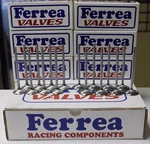 Ferrea 5000 Valves Honda Acura K20A2 K20A3 K20Z1 K20Z3 K-series New. Price: $260.96.