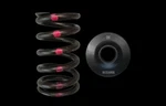 Brian Crower BC0200S Valve Springs + Steel Retainers For Nissan SR20DET New. Price: $195.00.