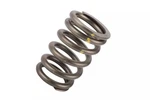 Genuine Acdelco Engine Valve Spring 12565763 New. Price: $6.66.