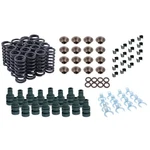 Single Valve Spring Rebuild Kit, Fits 1932-53 Ford Flathead New. Price: $326.99.